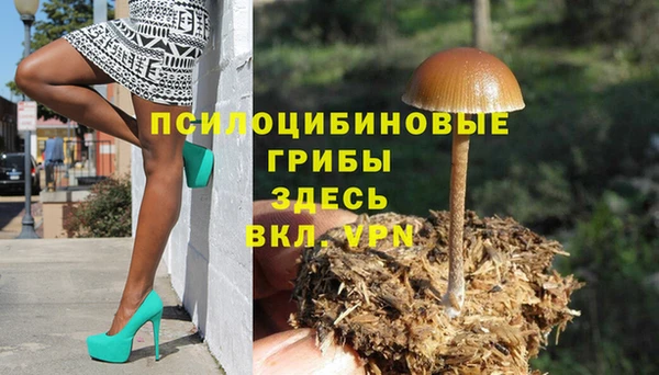 винт Абаза