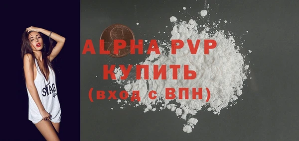 стаф Абинск