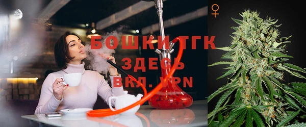 стаф Абинск