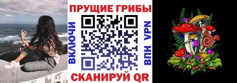 кракен ONION даркнет сайт Дубовка Галлюциногенные грибы мицелий